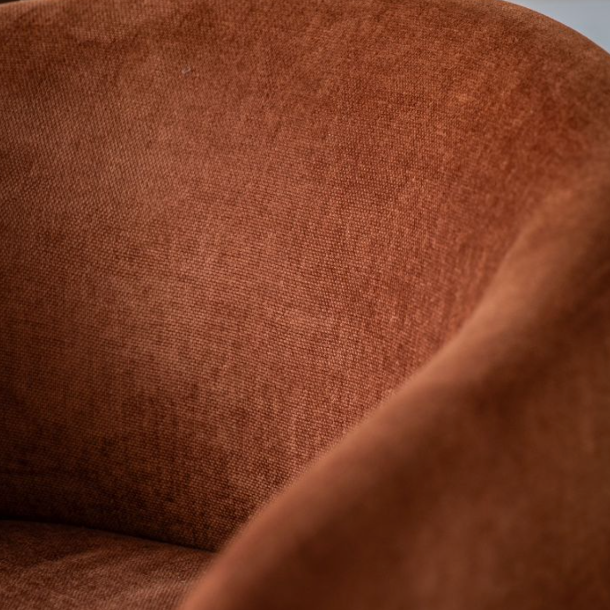 Holm Rust Dining Chair - Luxury Interiors