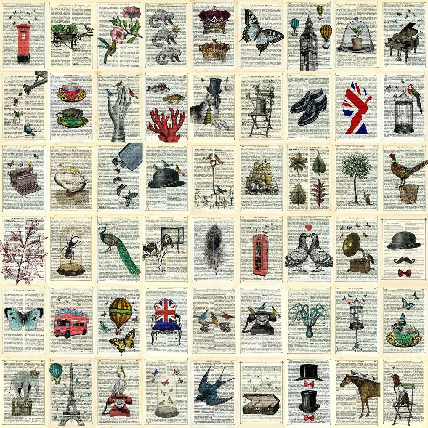 Marion McConghie Unique images on pages Wallpaper (53CM X 10M) - Luxury Interiors