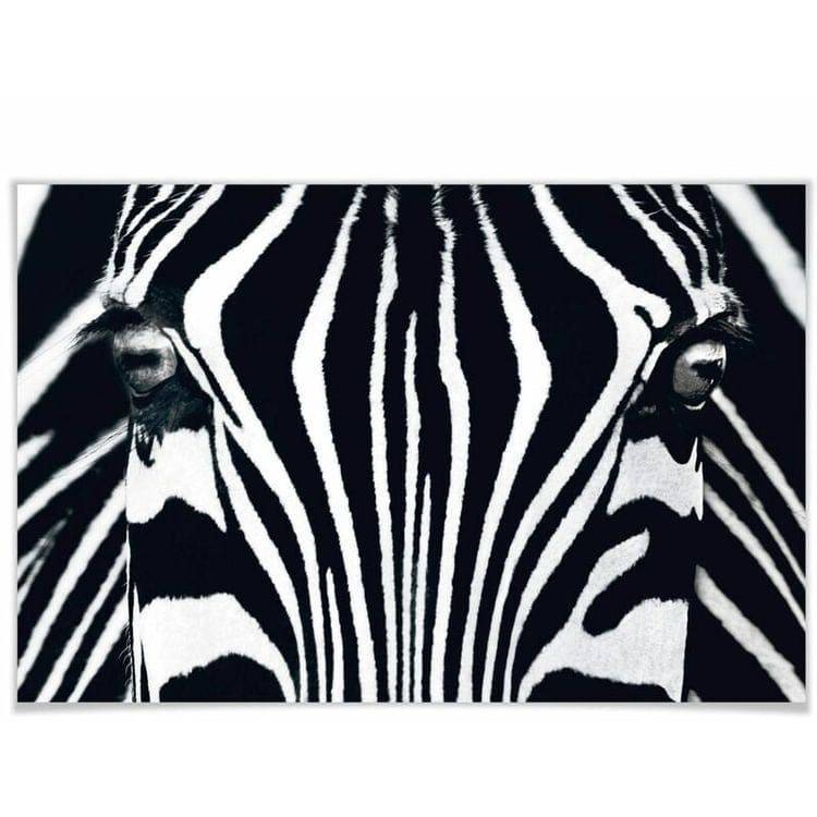Zebra Close Up Portrait - Luxury Interiors