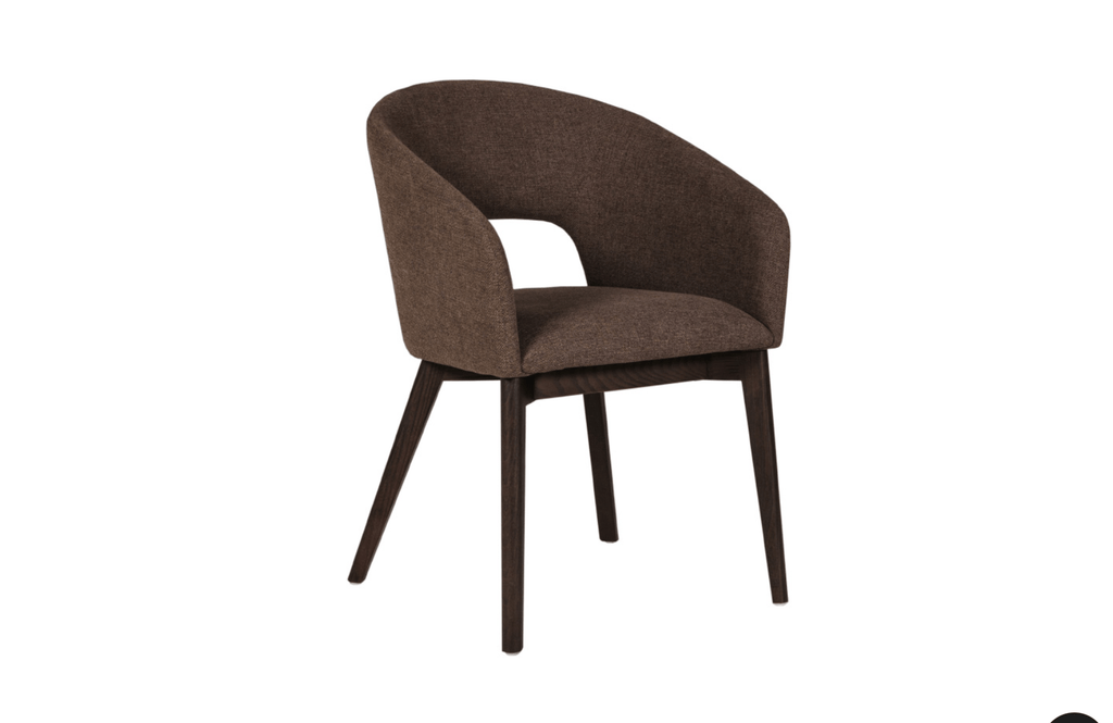 Ariya Dining Chairs (Pair) - Luxury Interiors