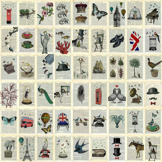 Marion McConghie Unique images on pages Wallpaper (53CM X 10M) - Luxury Interiors