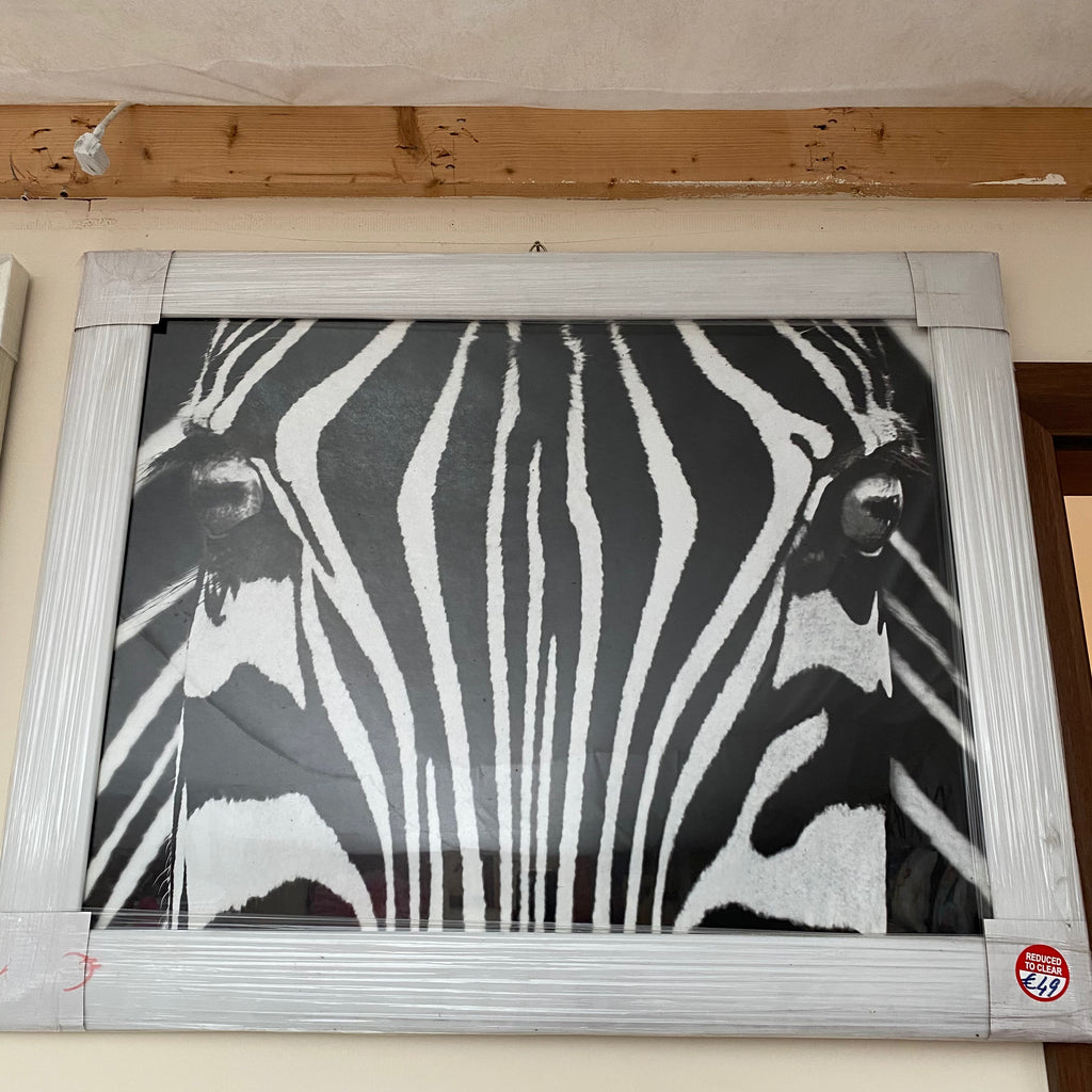 Zebra Close Up Portrait - Luxury Interiors